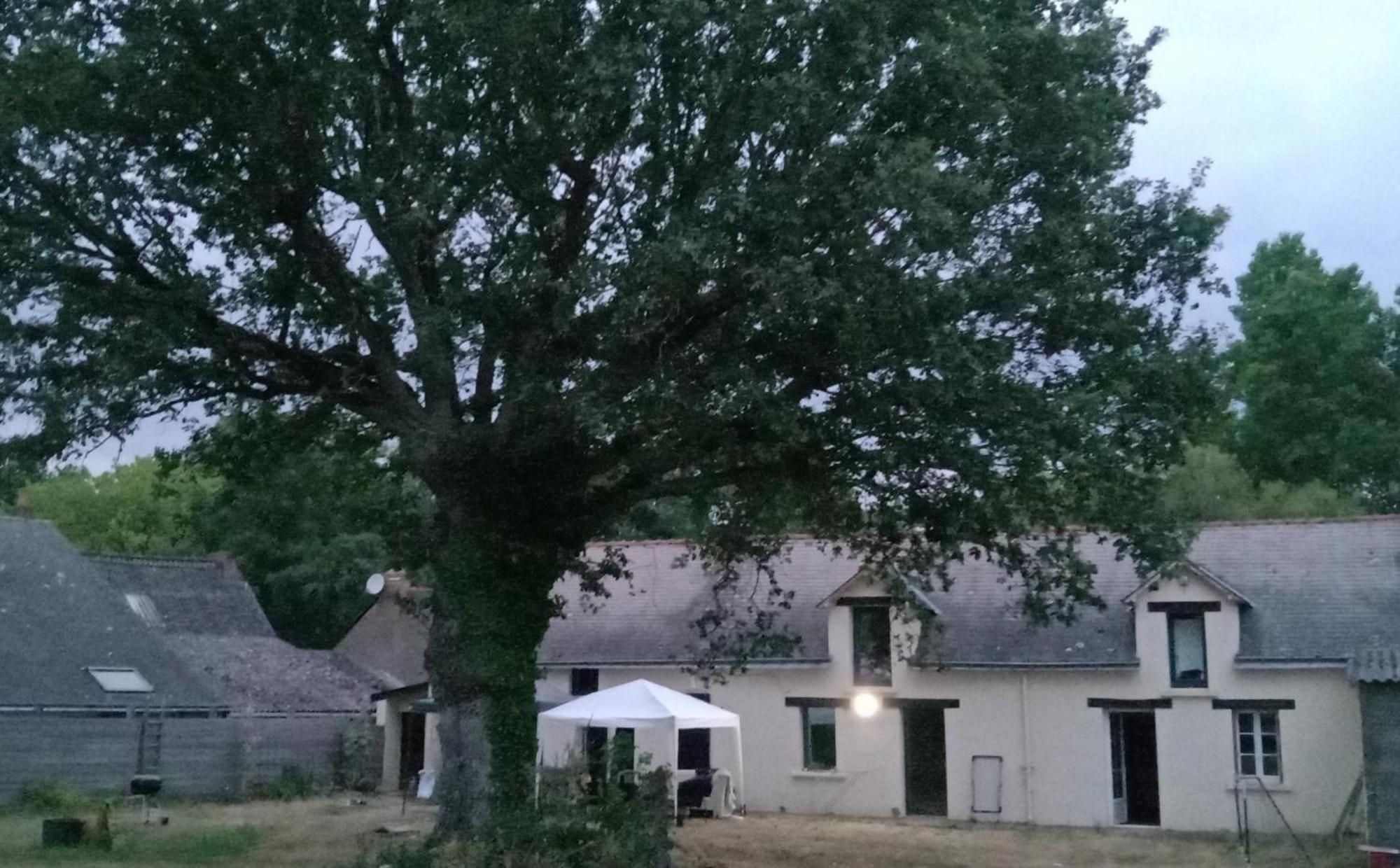 Independant T1, Entre Nantes Et Rennes * Conquereuil